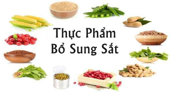 Kết quả hình ảnh cho Sắt - Cần thiết để tạo máu & trí thông minh