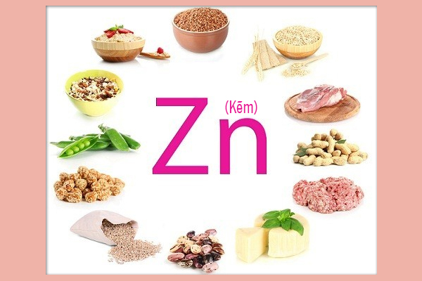 Kết quả hình ảnh cho Kẽm - Vi chất đa chức năng